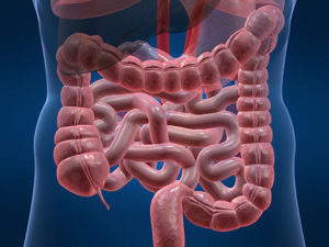 Malattie croniche intestinali