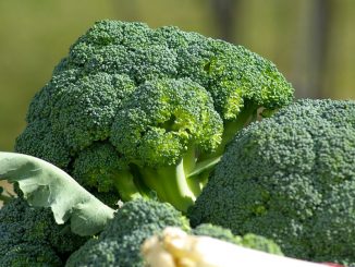 Broccoli-copertina