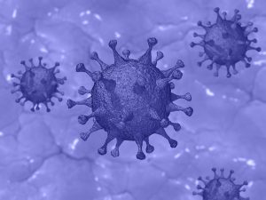 Virus - Foto di Pete Linforth da Pixabay