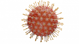 Virus - Foto di dianakuehn30010 da Pixabay
