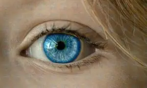 eye-1173863_1280-in