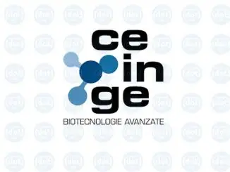 Ceinge